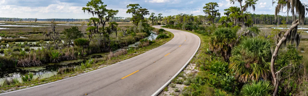Escape the City: Epic Road Trips from Hollywood, FL