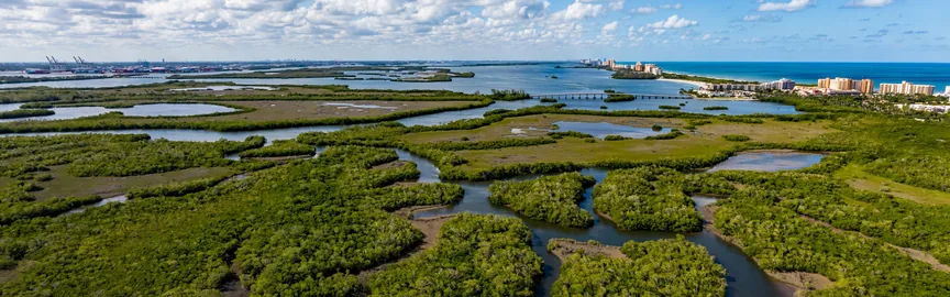 Unveiling Hollywood, FL: Where Adventure Meets Tranquility