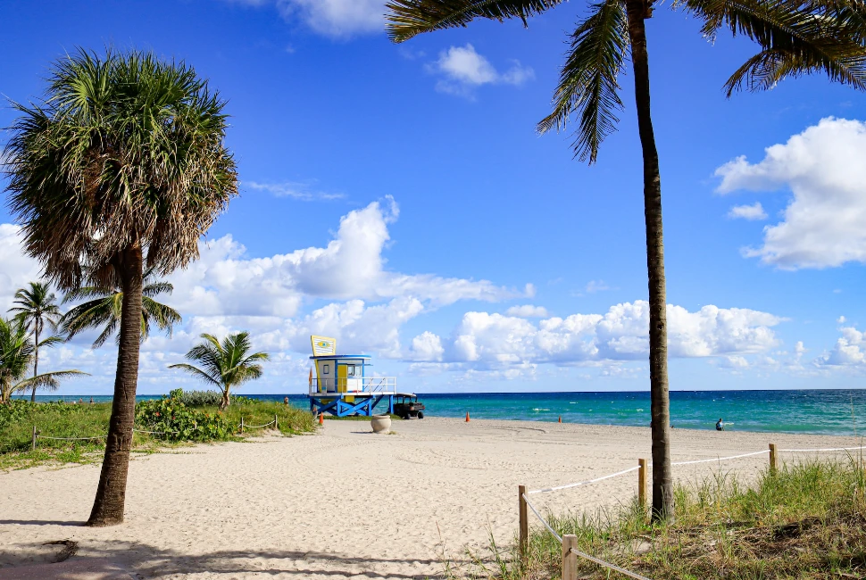 Exploring Hollywood, FL: A Sun-Kissed Paradise