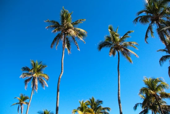 From Beaches to Boutiques: Unforgettable Attractions and Activities in Hollywood, FL